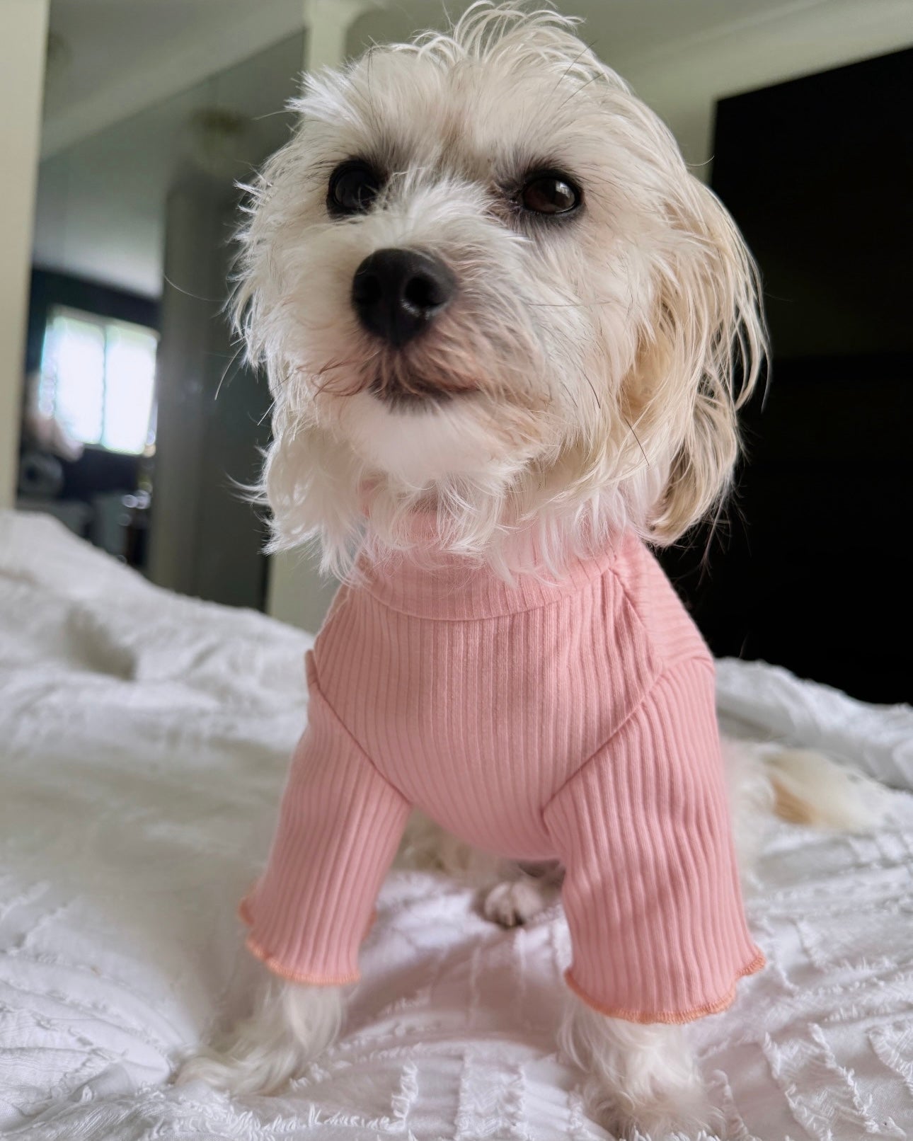 Lenny Loungewear Top Peachy Pink