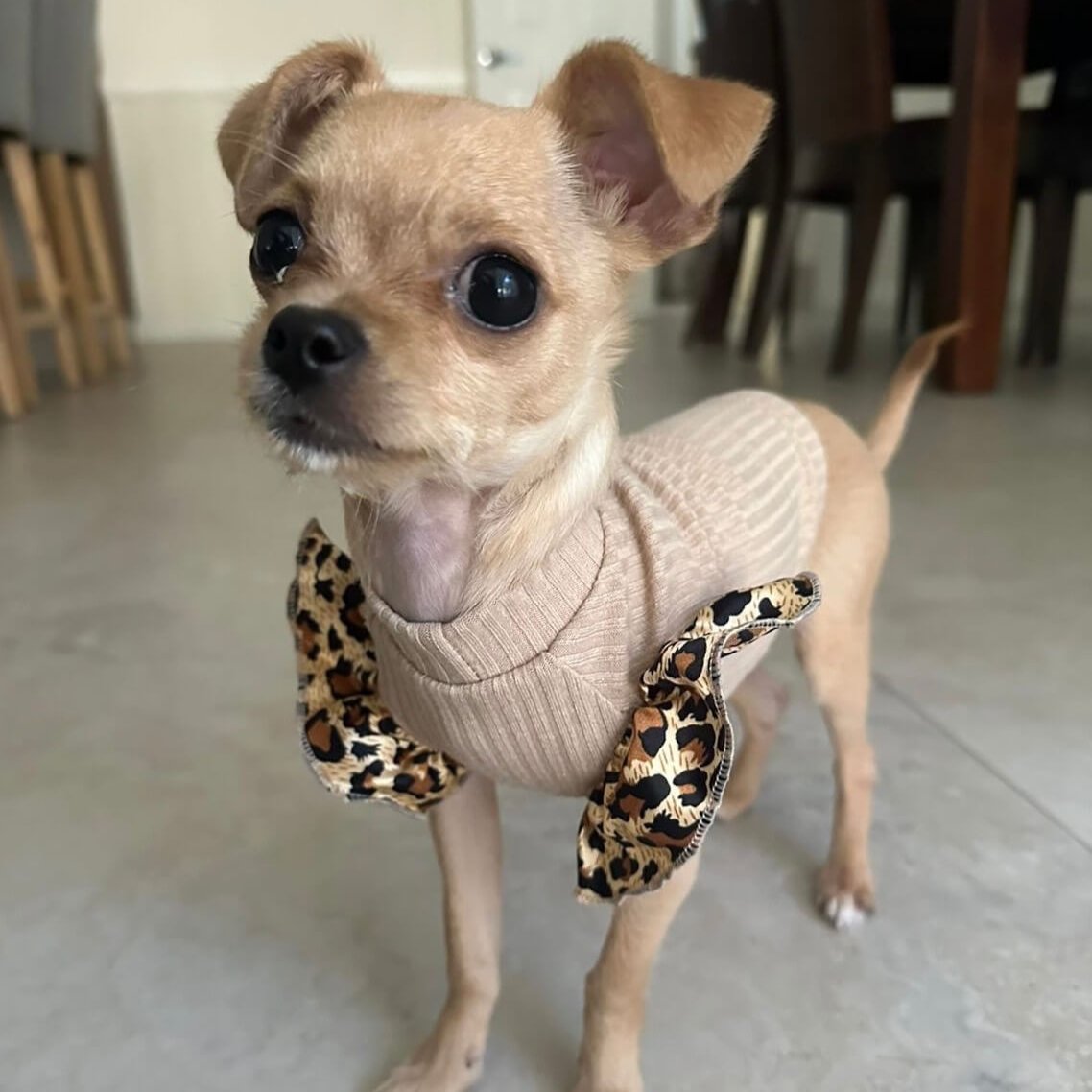 Leah Leopard Frilly Sleeve Top