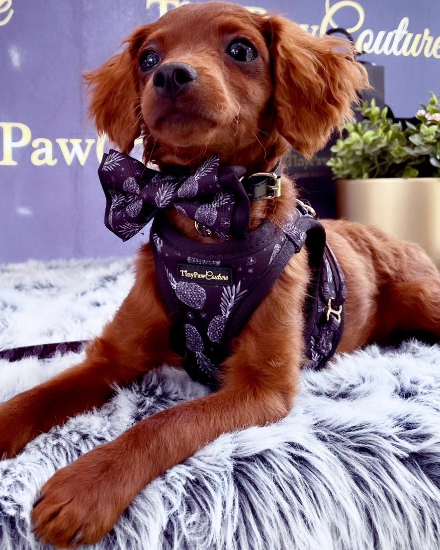 Little Luxe Pineapples Step In Vest Harness