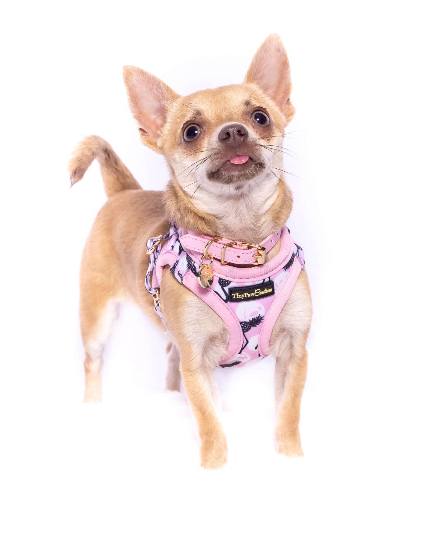 Little Luxe Flamingos Step In Vest Harness