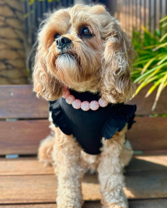 Arabella Frilly Sleeve Top Black