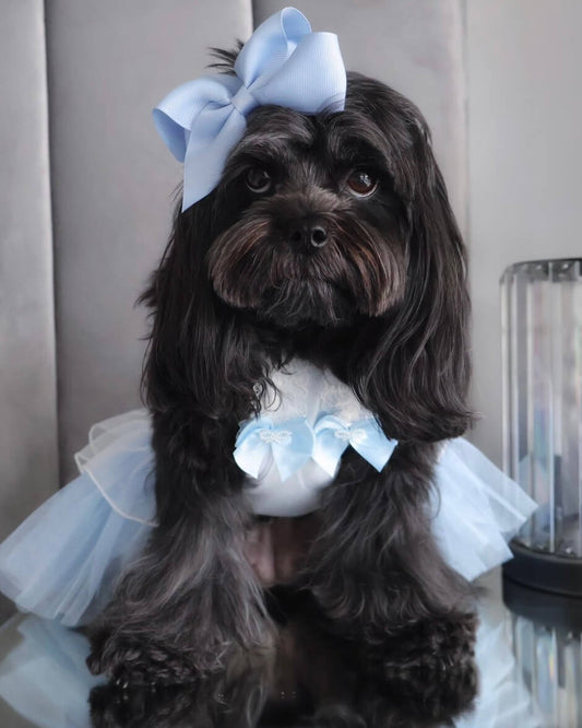 Cinderella Deluxe Dress