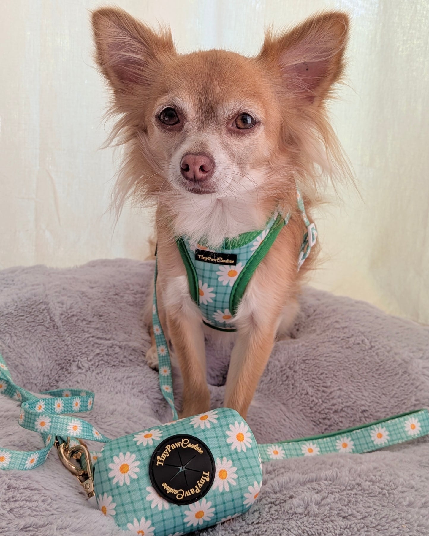 Wet'n'Wild Daisy Step In Vest Harness