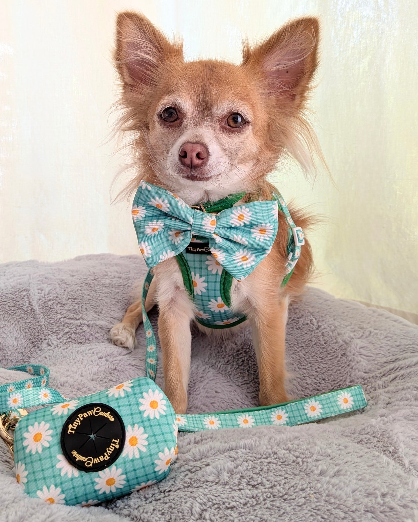 Wet'n'Wild Daisy Lead