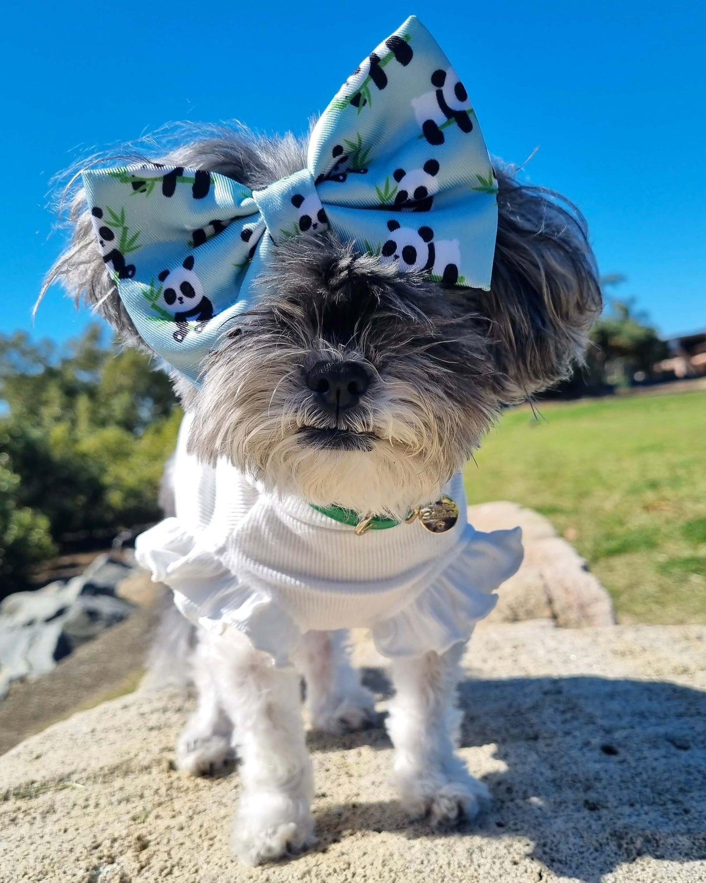 Wet'n'Wild Panda Bow