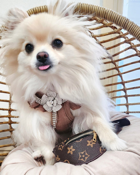 Designer Pup Waist Bag