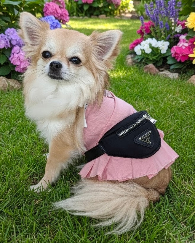 Pawda Waist Bag