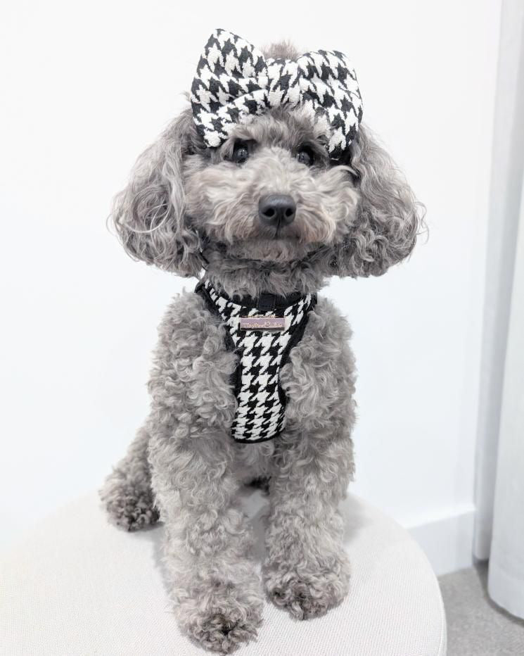 Little Luxe Houndstooth Harness