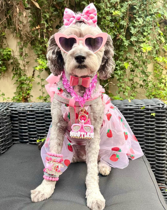 Strawberry Delight Dress