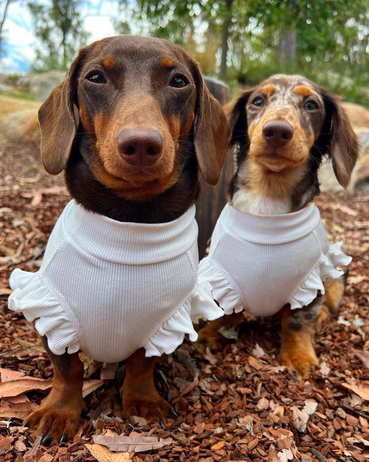 Arabella Frilly Sleeve Top White