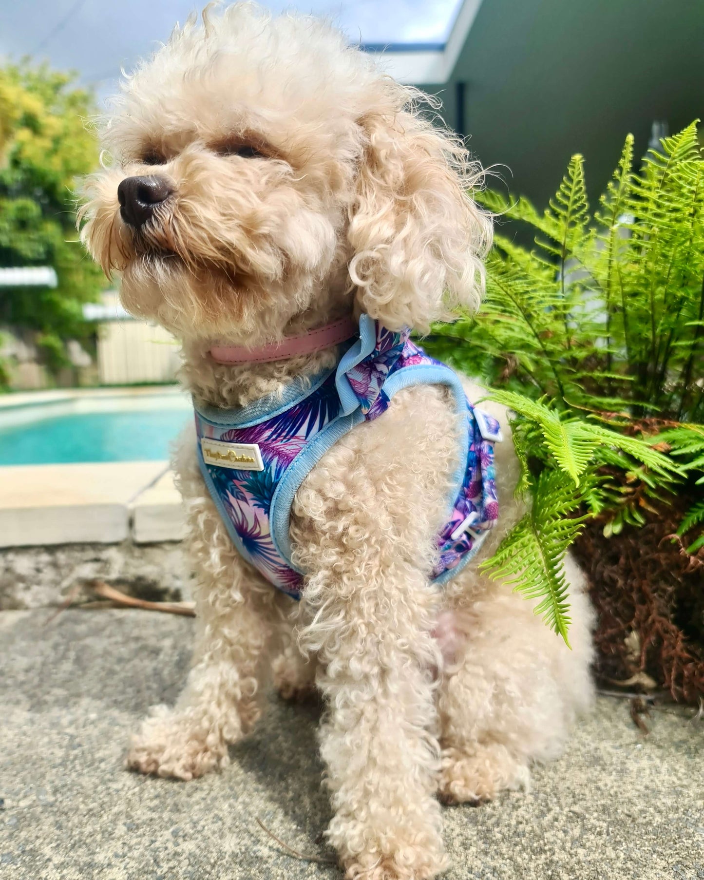 Wet'n'Wild Tropical Step In Vest Harness