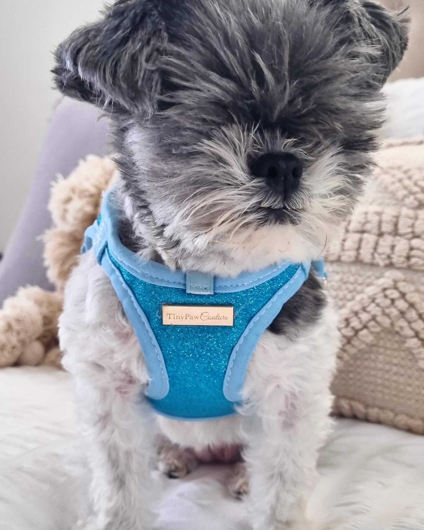 Little Luxe Glitz & Glam Blue Harness