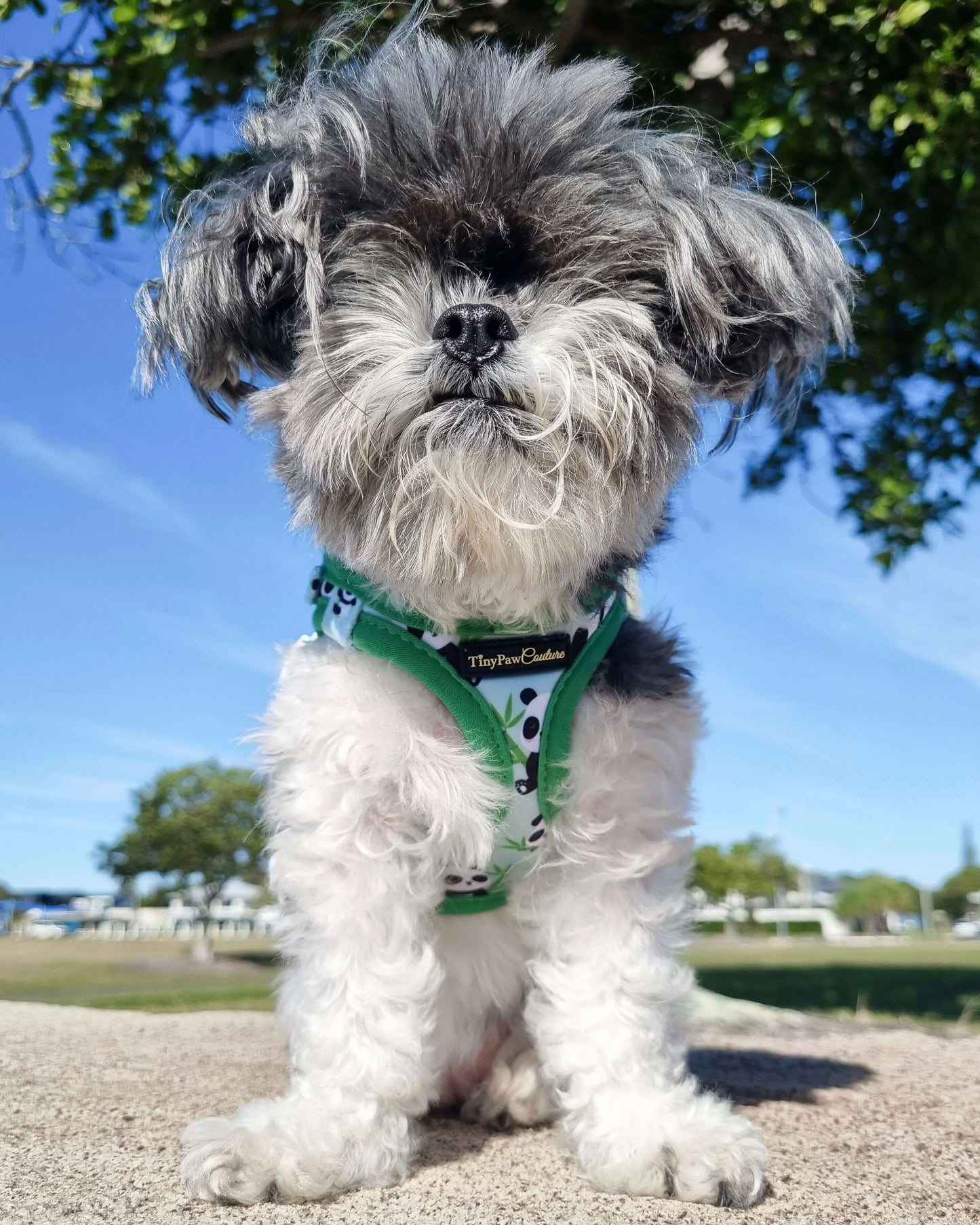 Wet'n'Wild Panda Step In Vest Harness