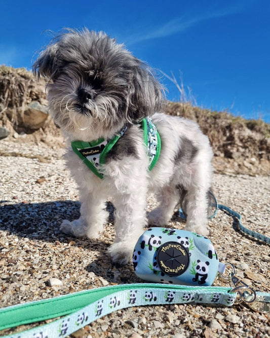 Wet'n'Wild Panda  Lead