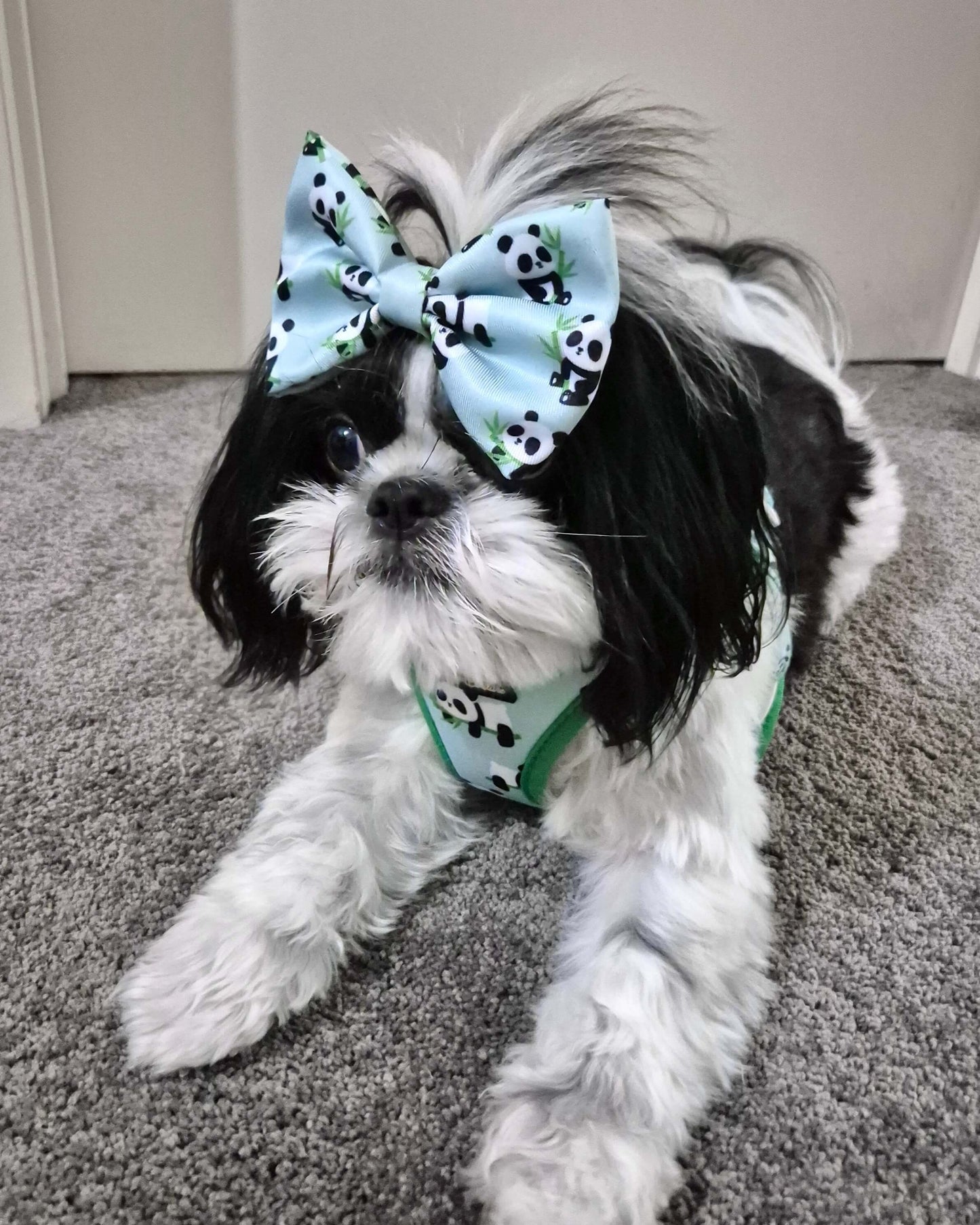 Wet'n'Wild Panda Bow