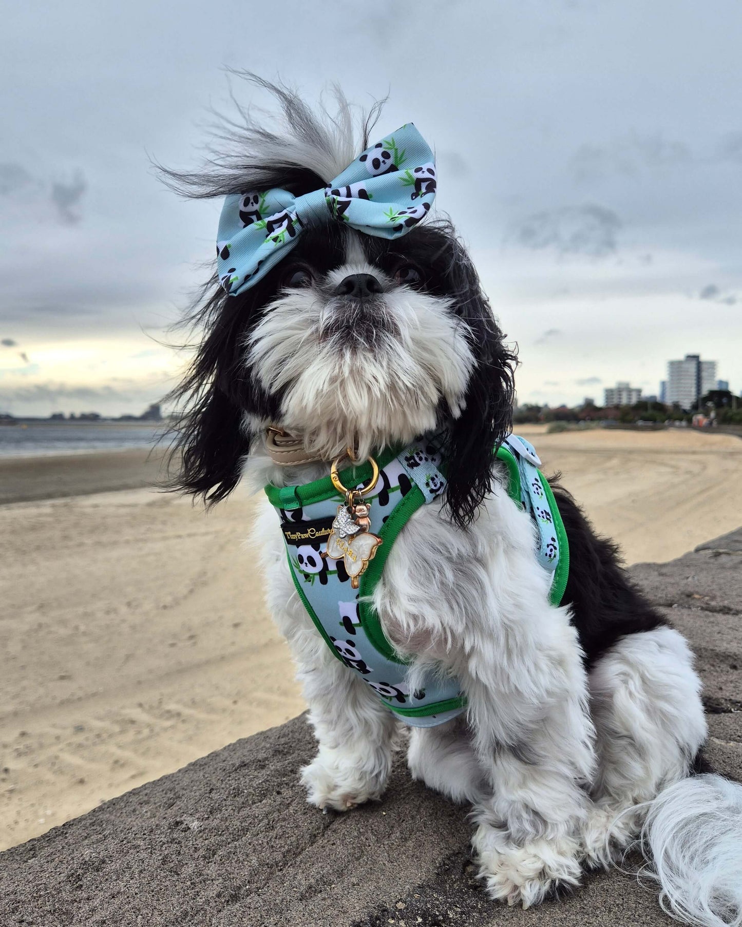 Wet'n'Wild Panda Step In Vest Harness