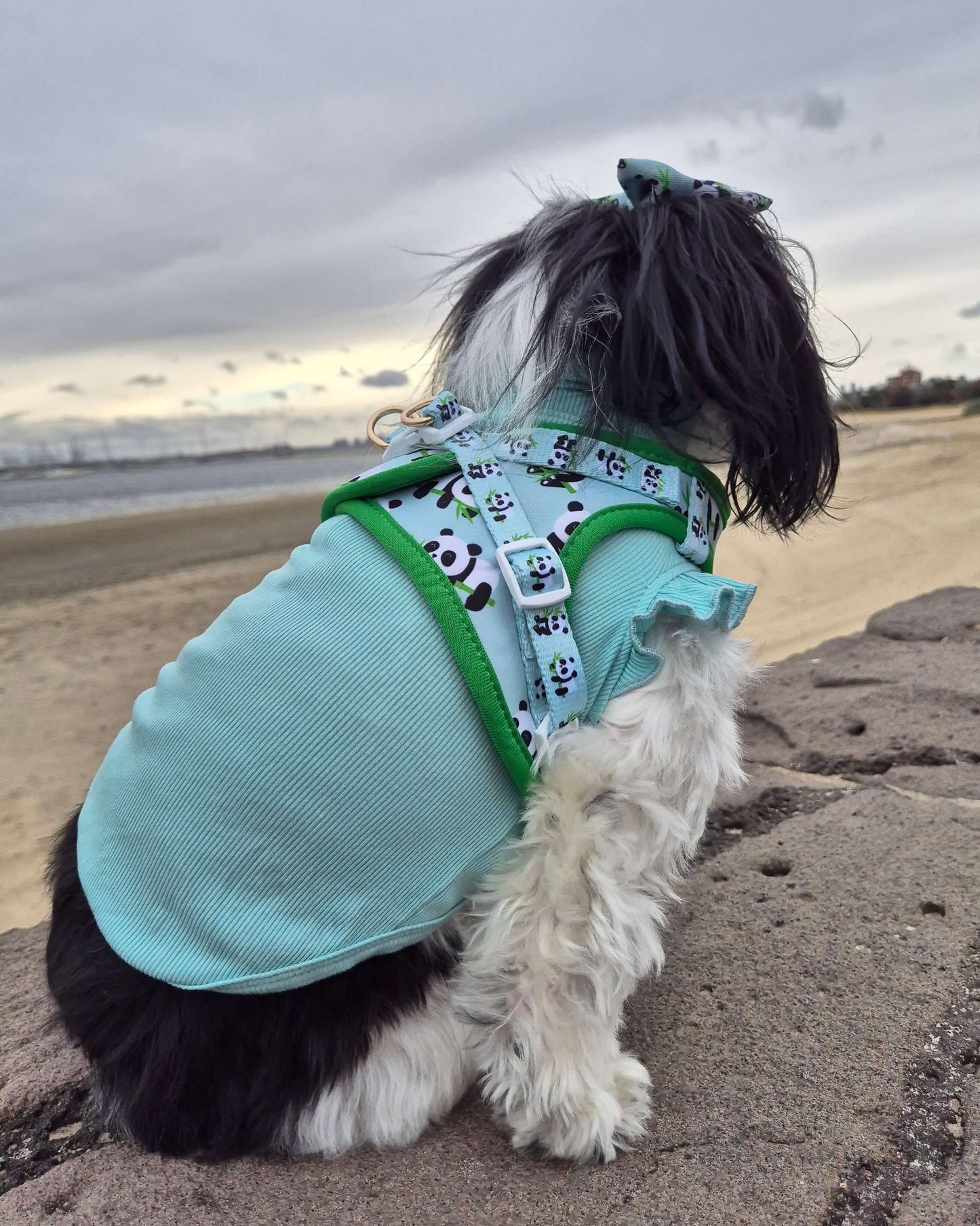 Wet'n'Wild Panda Step In Vest Harness