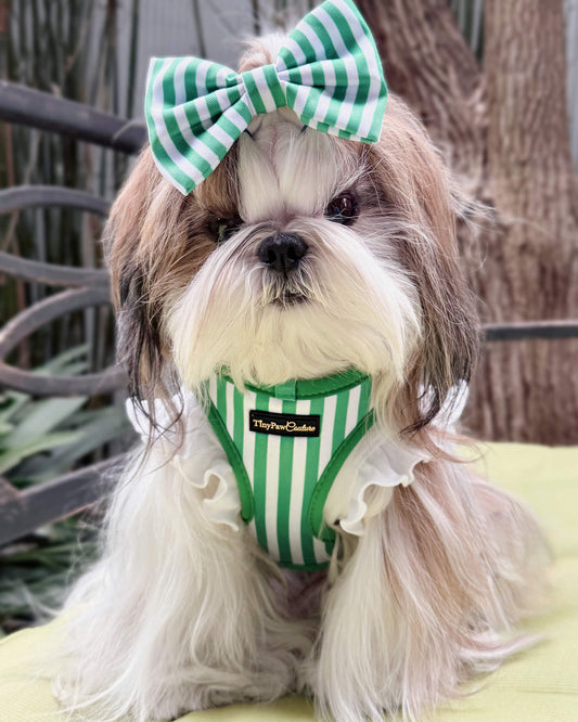 Wet'n'Wild Green Stripes Step In Vest Harness