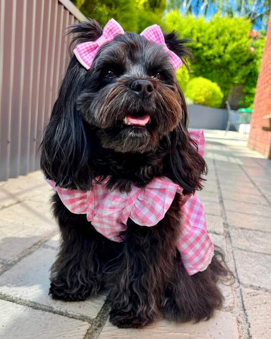 Bethany Pink Gingham Dress