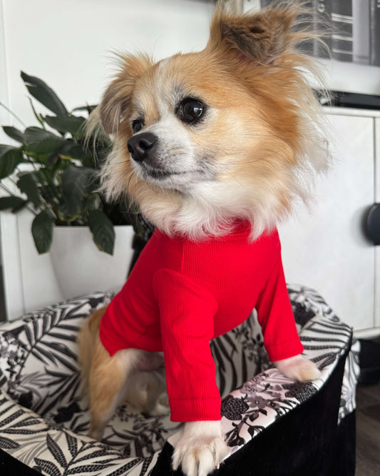 Arlo Long Sleeve Top Red