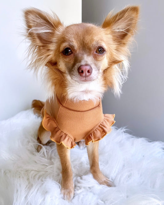 Arabella Frilly Sleeve Top Brown
