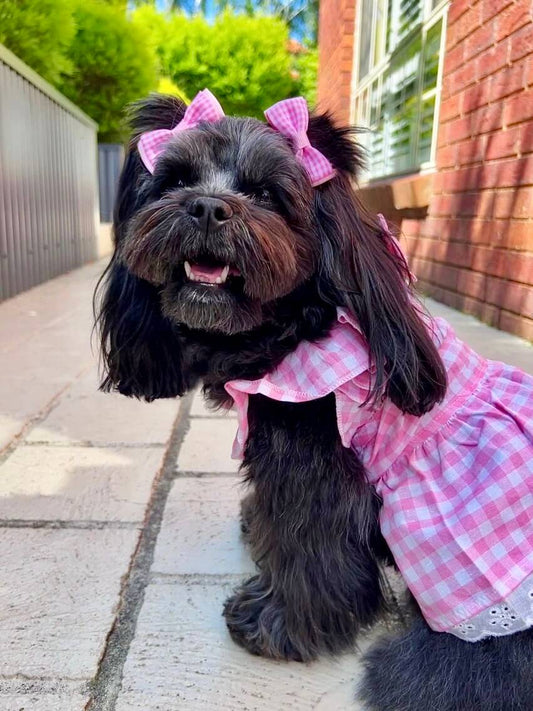 Bethany Pink Gingham Dress