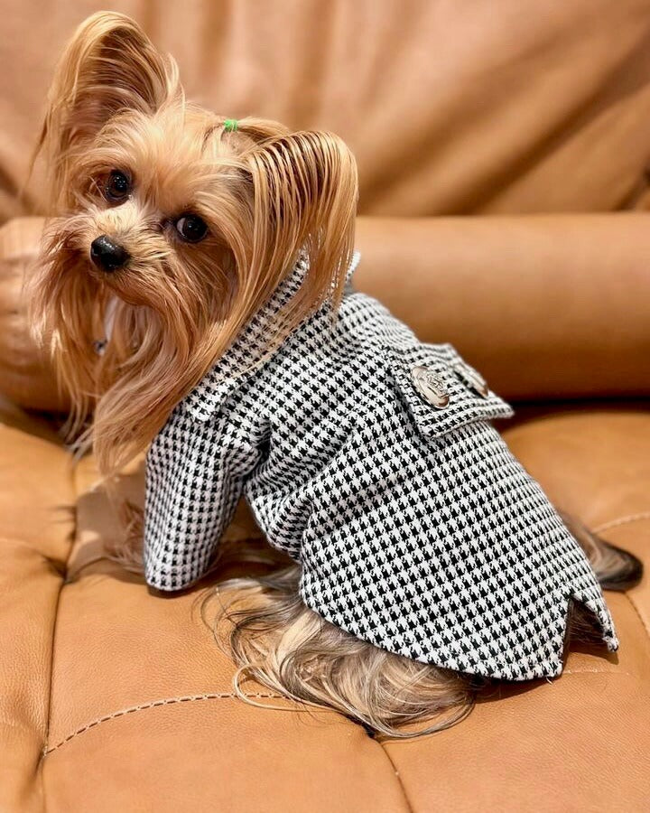 Houndstooth Suit