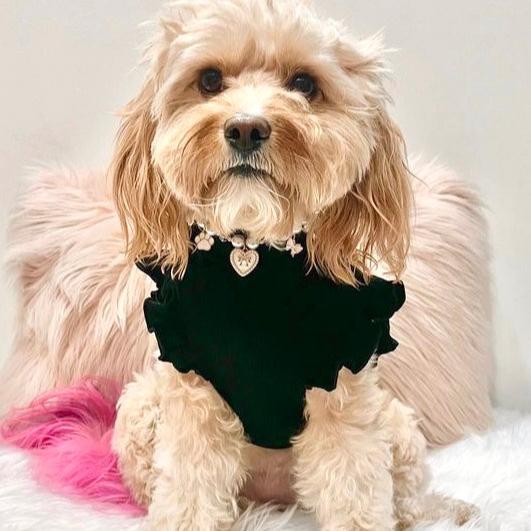 Arabella Frilly Sleeve Top Black