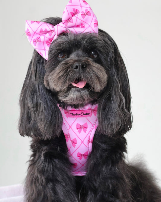 Wet'n'Wild Valentina Bow Harness