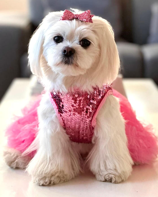 Pink Sequin Tutu