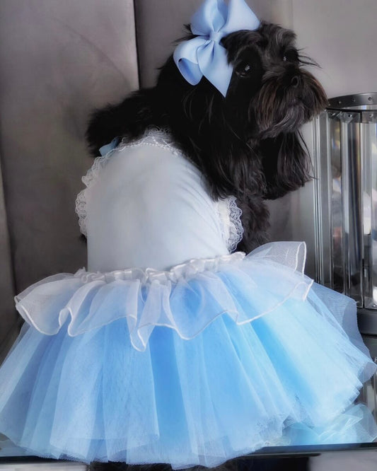 Cinderella Deluxe Dress