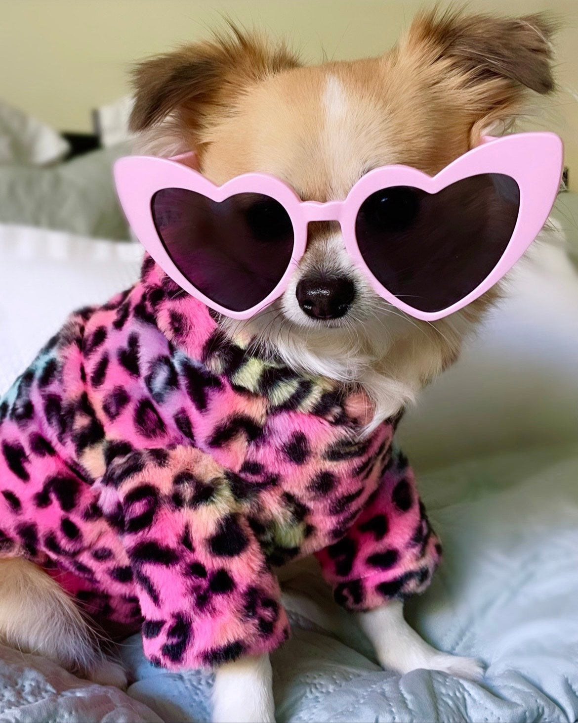 Funkalicious Fur Hoodie