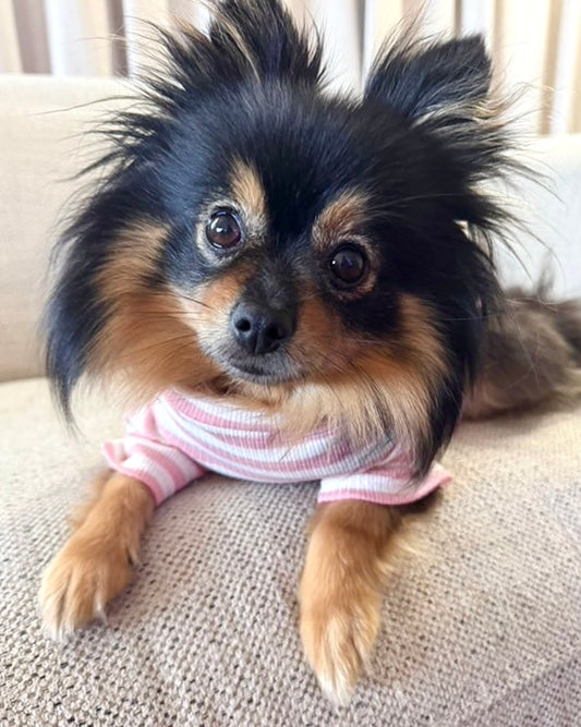 Sammy Striped Top Pink