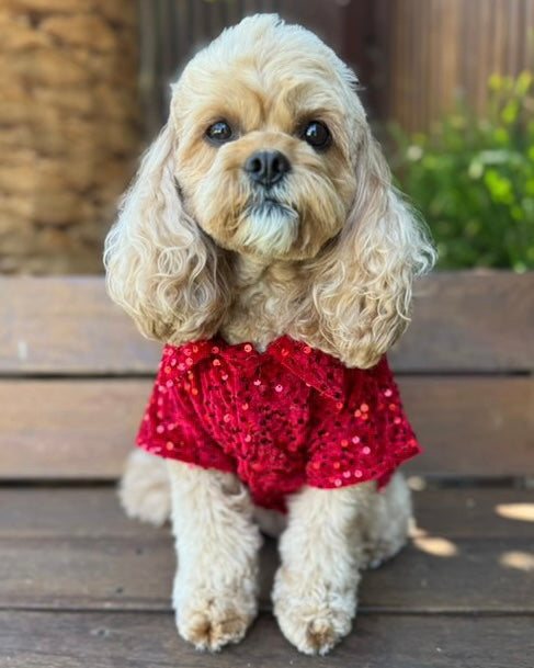 Red Velvet Sequin Shirt