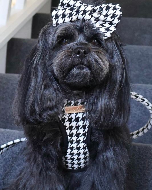 Little Luxe Houndstooth Harness
