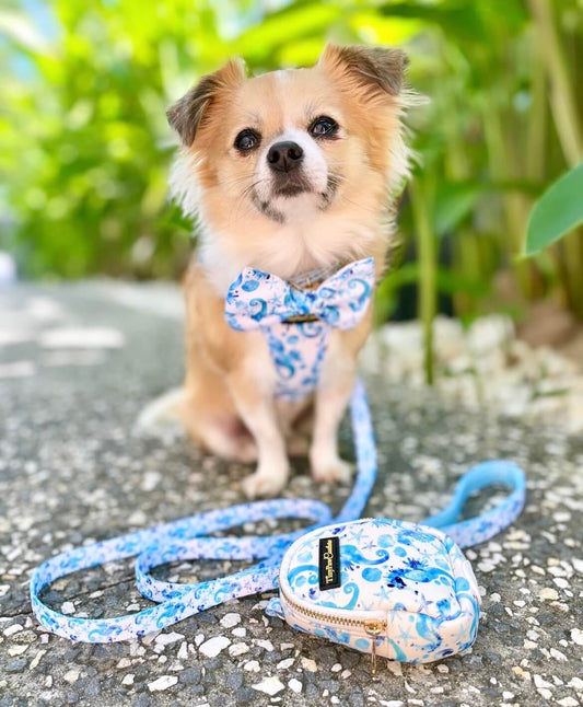 Wet'n'Wild Seahorse Lead