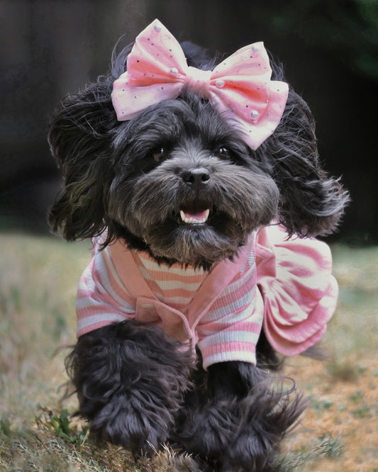 Blush Belle Hair Bow