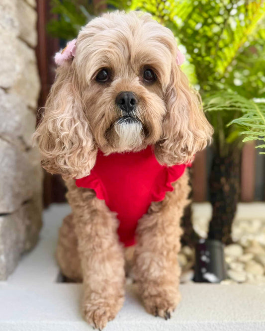 Arabella Frilly Sleeve Top Red