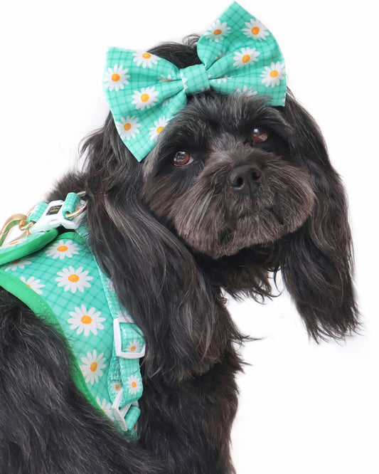 Wet'n'Wild Daisy Step In Vest Harness