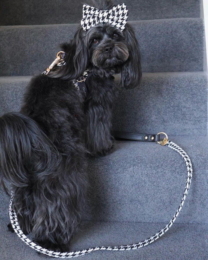Little Luxe Houndstooth Lead