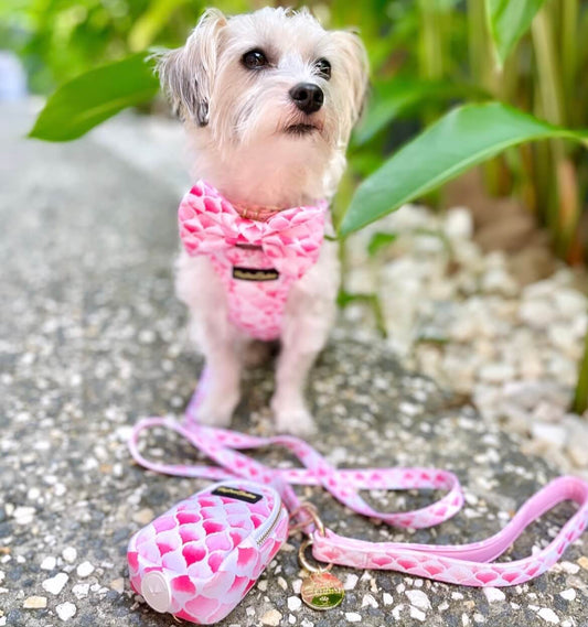 Wet'n'Wild Pink Gatsby Lead