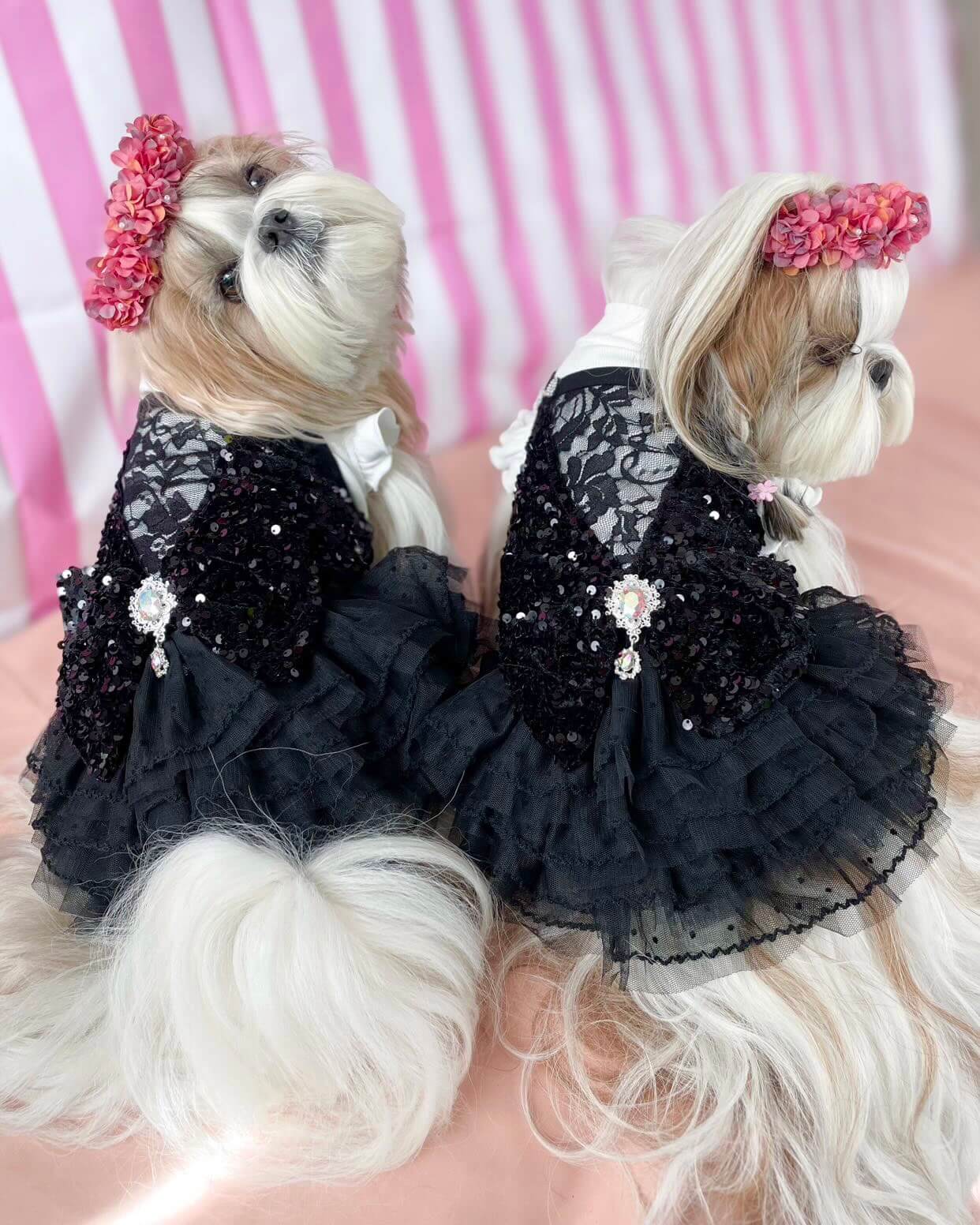 Anika Deluxe Dress