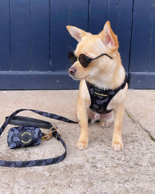 Little Luxe Pineapples Lead