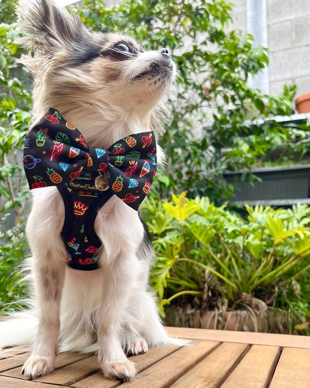 Wet'n'Wild Neon Lights Step In Vest Harness
