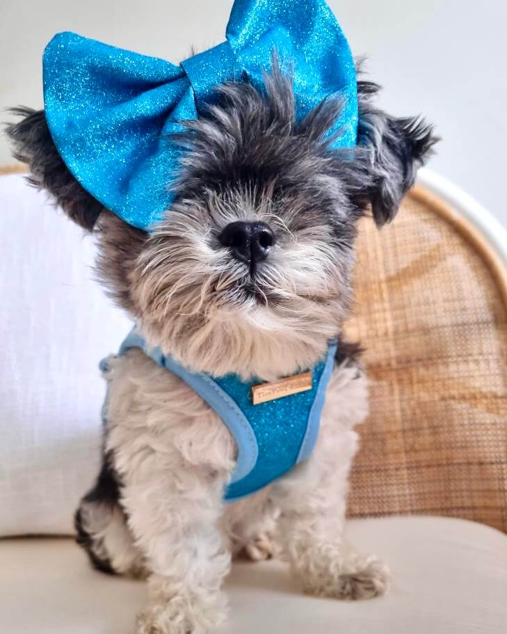 Little Luxe Glitz & Glam Blue Bow