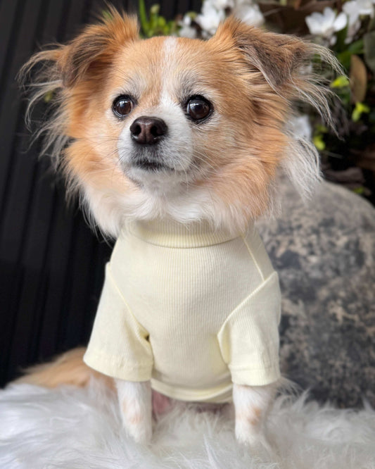 Arlo Short Sleeve Top Yellow