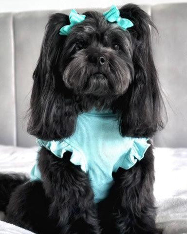 Arabella Frilly Sleeve Top Tiffany Blue