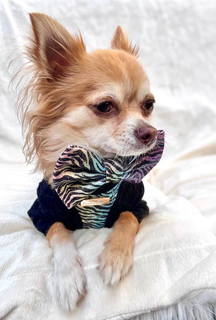 Little Luxe Glitz & Glam Zebra Bow