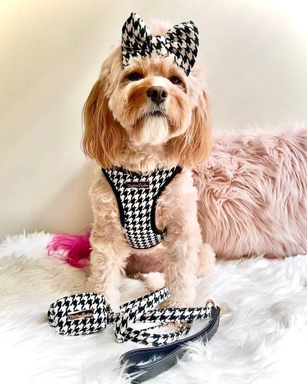 Little Luxe Houndstooth Lead