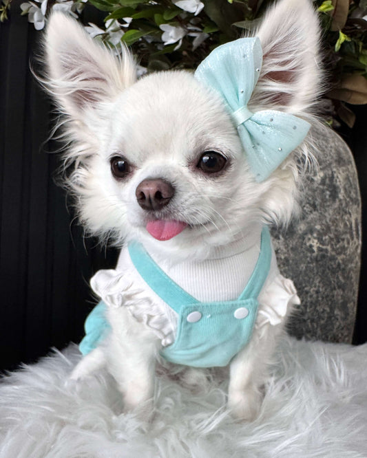 Tiny Paw Couture Signature Suspender Skirt - Minty Ruffle